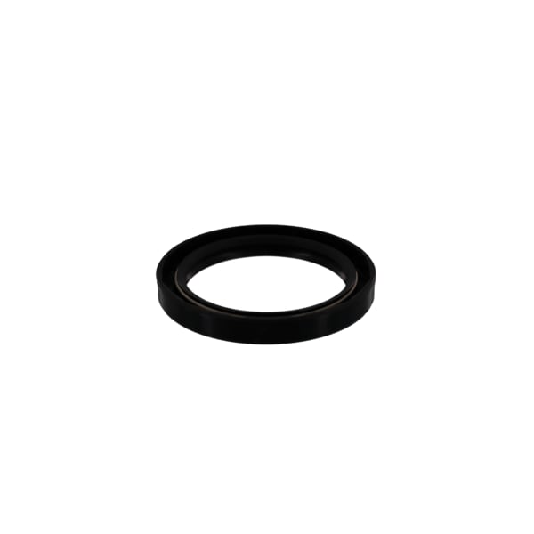 SEAL SHAFT SS SPR 60X80X10MM